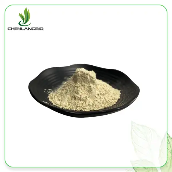 Lipase Powder